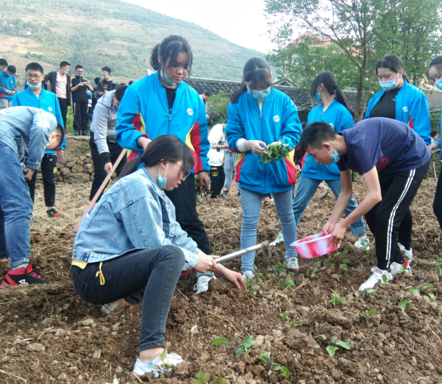 劳动教育依然是大学生成长路上不可或缺的养分 劳动教育依然是大学生成长路上不可或缺的养分